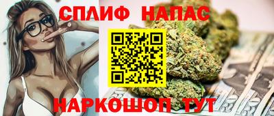 гидропоника Аша