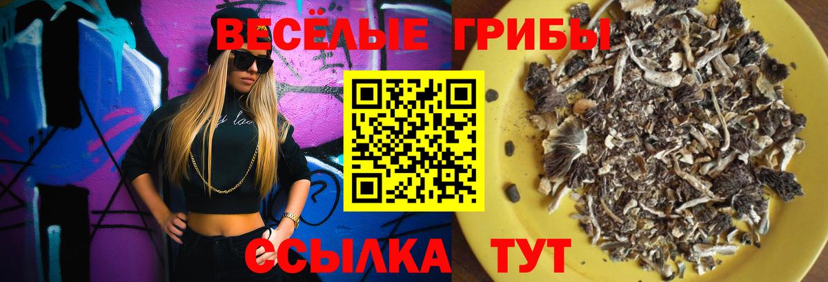Галлюциногенные грибы мицелий Ханты-Мансийск